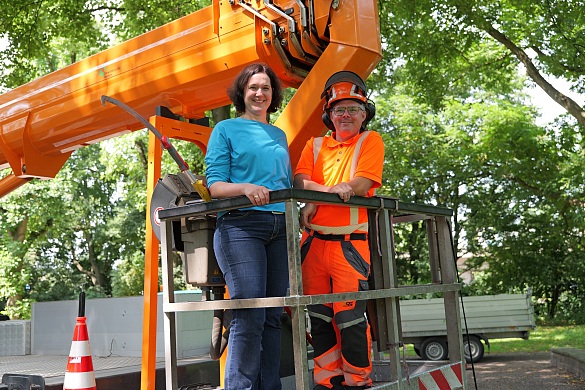 Senatorin Kathrin Moosdorf begleitet Mitarbeitende des UBB bei einem Baumpflegeeinsatz mit Steiger. Foto: Umweltressort