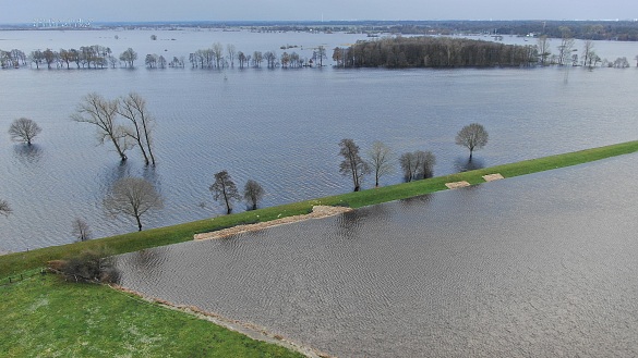 Das Hochwasser rund um den Jahreswechsel hat zahlreiche landwirtschaftliche Flächen unter Wasser gesetzt. Schäden könnten künftig durch eine Mehrgefahrenversicherung aufgefangen werden. Foto: Feuerwehr Bremen