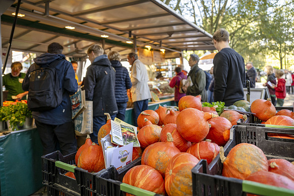 Am Sonntag, 29. September 2024, lockt das BioMarktFest wieder mit einer Vielfalt an regionalen und ökologischen Produkten auf den Findorffmarkt. Foto: Umweltressort/Michael Ihle