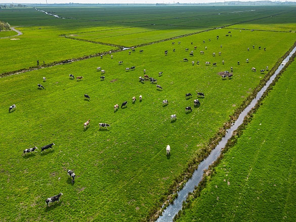 Moore schützen und Landwirtschaft betreiben: beides will das Projekt Green Moor vereinbaren. 